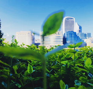 Sustainable Finance and Greenwashing - Marshall Elearning Courses